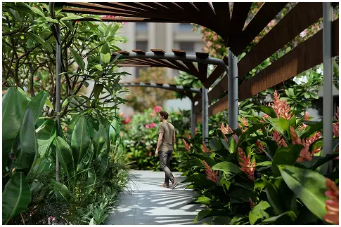 Walking Track